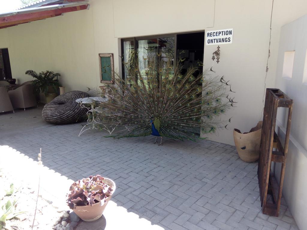 Xain Quaz Camp Gobabis Exterior foto