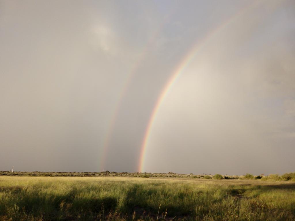 Xain Quaz Camp Gobabis Exterior foto